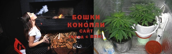 круглые Аркадак